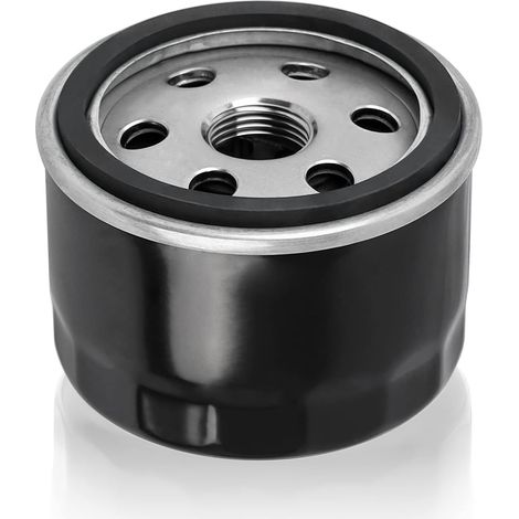 S-GIANT Filtre à huile de remplacement pour Kawasaki 49065-7007 49065-7002 49065-2057 49065-2076 49065-2077 Kawasaki FR541V FR600V FR651V FR691V FR730V FS481V FS541V FS600V