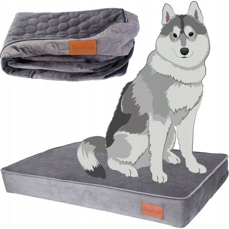 Cuccia ortopedica per cani di taglia grande 120x75x10 cm XL Ucraina GRIGIO velluto (1/5)