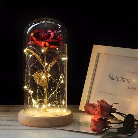 La Rose Eternelle et lumière LED \"Belle et la bête\",Meilleur Cadeau pour la Saint Valentin la Fête d\'Anniversaire la Fête des Mères (1/4)