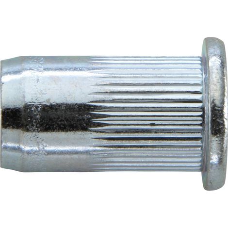 Rivetto Cieco Dado Zincato. M 5X 7X13,5 Gesipa (A 500)