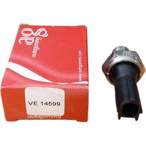 Sensore temperatura per peugeot boxer