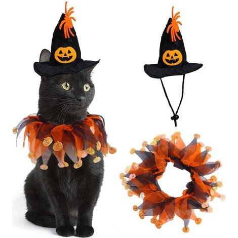 Halloween-Set mit Halskette und Hut – Hund/Katze – Knochenmuster – Lustig – Cosplay-Party