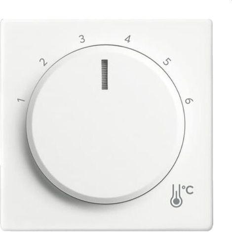 Busch-Jaeger Zentralscheibe 1794 R-884 Temperatur rund
