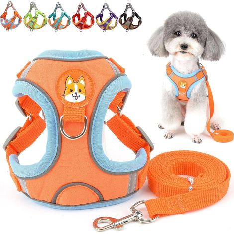 Ensemble Harnais et Laisse pour Petit Chien Anti Traction Réglable Réfléchissant Chiot Harnais Veste en Daim Souple Anti-Fuite Chat Harnais pour la Promenade pour Chihuahua Yorkshire Orange S