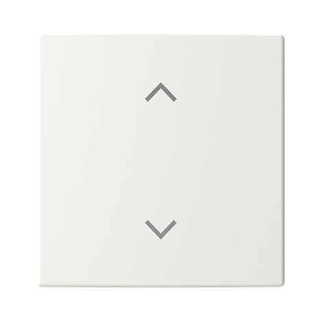 Busch-Jaeger Touche 1 compartiment, avec symbole "Store" Busch-balance® SI (6735-11-914), 2CKA006220A0984