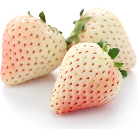 Semi di Fragola bianca "Pineberry" piante per orto e giardino coltivazione domestica e professionale