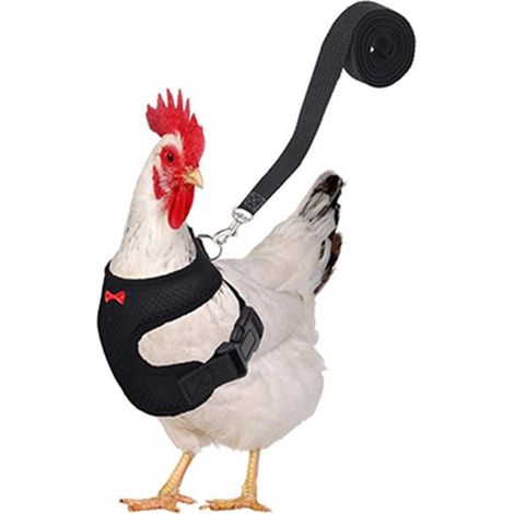 Harnais de Poulet réglable avec Laisse Gilet Respirant pour Poule pour Animaux de Compagnie 3,6 Pieds Ceinture Assortie Corde de Traction d'entraînement en Plein air pour Animaux de Compagnie Canard O (1/5)