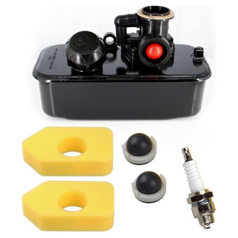 DTEKGAZ - 494406 Benzin-Rasenmäher-Vergaser für Briggs & Stratton 698369 699660 498811 794161