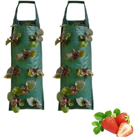 Sac Plantation Fraise Avec 2, Sacs à plantes suspendus, Pour plantes / herbes / fleurs / légumes, KINSI