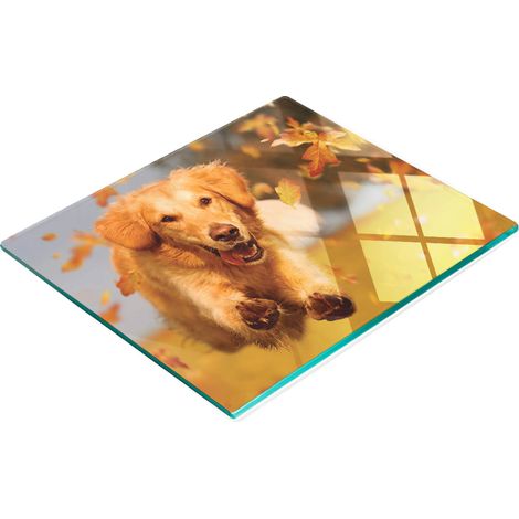 Tabla decorativa de cristal para aperitivos con diseño de perro Golden Retriever, 60x52 cm. (1/5)