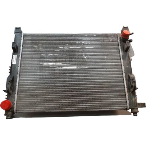 [PRODUIT D'OCCASION] Radiateur DACIA Duster ♻️ Ref Oe. 214100078r - Garantie à vie (1/3)