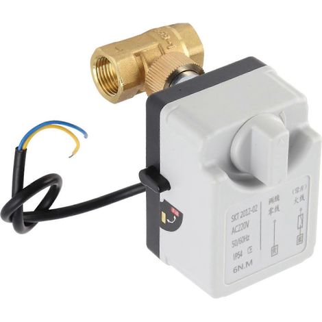 Vanne à bille motorisée, électrique, 2 voies, normalement ouverte, manuelle/automatique, DN15, 220 V CA (1/4)