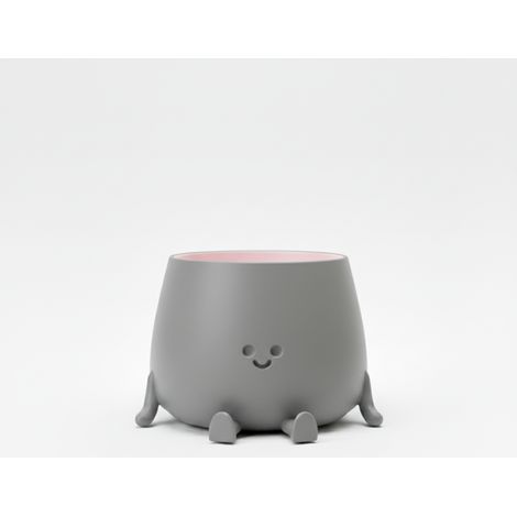 Pot de fleurs décoratif souriant, gris, pour plantes, design moderne (1/3)