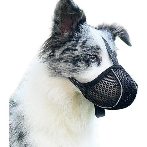 Bozal para perros: evita que mastiquen, coman o muerdan transpirable, reflectante y ajustable antimordeduras (Negro-XL). (1/5)