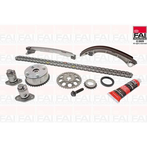 Kit de distribution par chaîne FAI AutoParts TCK35VVT LOTUS 13506-0D020