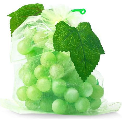 100 Fruit Protection Bags, Net Bags for Protecting Grape Bunches from Birds and Insects (Wasps, Hornets), 30 x 20 cm (1/5)