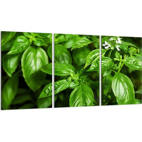Piastra protettiva in vetro per stufa 3x30x52 (1/5)