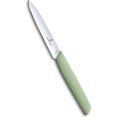 Victorinox Coltelli da Tovola a Punta 10cm Mint Green