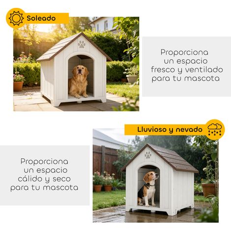 Niche d'extérieur pour chien, grande niche en plastique avec 2 fenêtres, base surélevée, piquets, marron foncé (1/5)