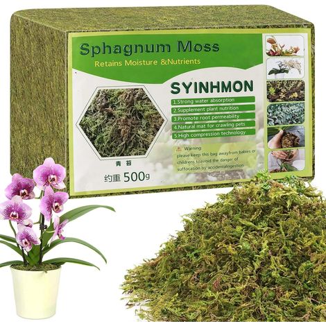 500g Mousse Florale Perlite Terreau Plante Intérieur Sphaigne (1/5)