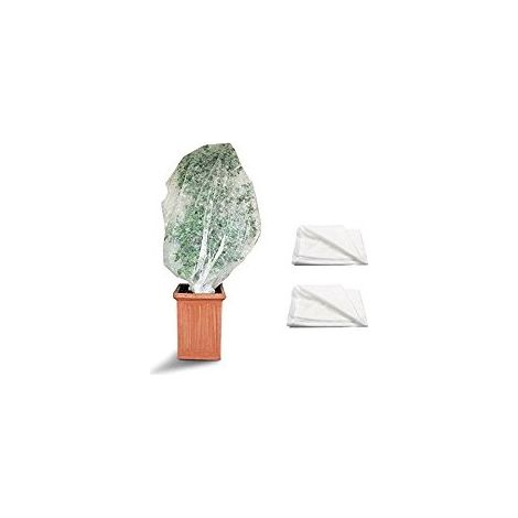 Capucha protectora para plantas