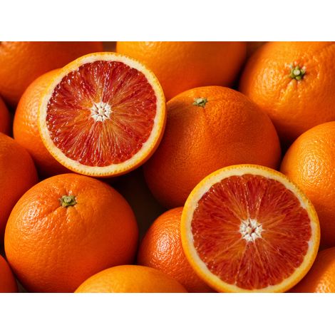 Gardenaria Arancio - Citrus sinensis 'Tarocco' - Pianta di agrume da frutto in vaso - Altezza: 70/80 cm (vaso 22) (1/3)
