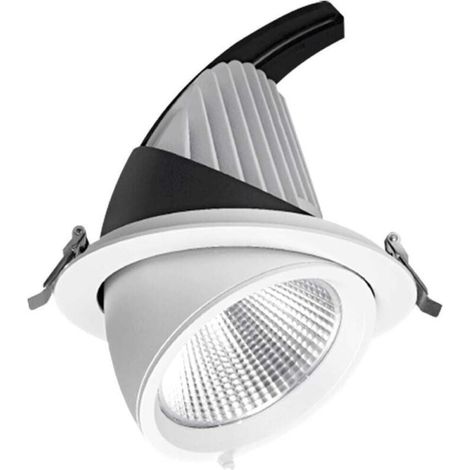 LED Schneckenstrahler COB 40W verstellbar Einbau EAGLERISE Trafo Farbtemperatur: Neutralweiß 4000K (1/4)