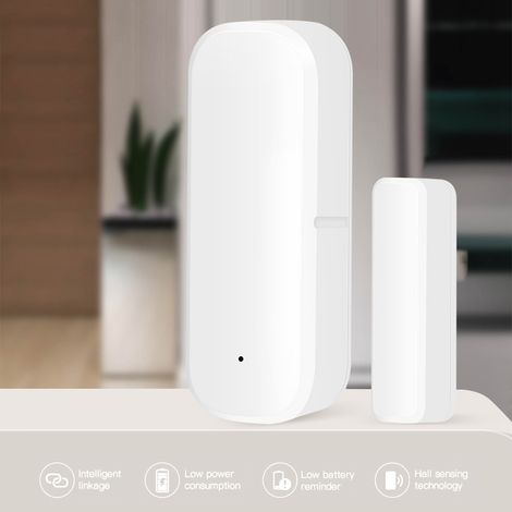 Alarme anti-intrusion pour portes et fenêtres intelligentes, avec capteur magnétique et détecteur de graffitis WiFi. (1/5)