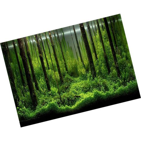 Poster adhésif sous-marin forêt fond toile de fond décoration pour réservoir en PVC papier 122 46 cm - qualité premium (1/5)