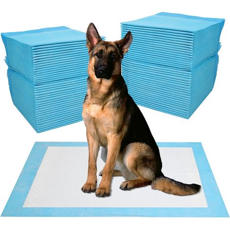 40 Pièces Alaise pour Chien 60 x 90 cm Tapis Absorbant Chien, Super Absorbants Alèse Jetable pour Chien, Anti Fuite et Résistante (1/5)
