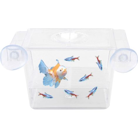 Boîte Élevage Alevins - Acrylique Transparent 12,5 x 7 x 8 cm - Pour Guppy Betta Poissons Vivipares - Isolation Aquarium - 1 Pièce (1/5)
