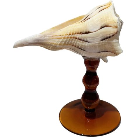 Verre à vin à pied en coquillage naturel, verre artistique en coquillage irrégulier, décoration intérieure.