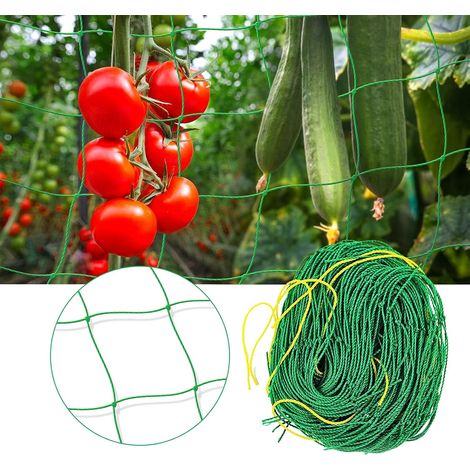 Filet Support Plante - 1 Pièce - Nylon Vert - Mailles Large - Tomate Concombre - 1,8x2,7M (1/5)