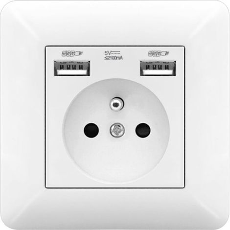 1 pièce Prise Électrique Murale Double USB + Prise AC 110-250V – Prise USB 5V/2.1A pour Téléphone, Smartphone et Tablette (1/5)