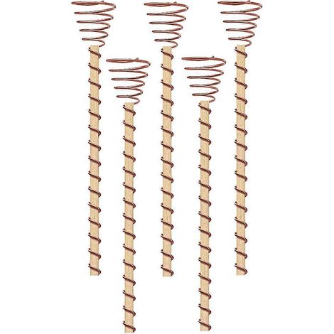 Lot de 5 tuteurs de jardin en cuivre pour électroculture -- (1/5)