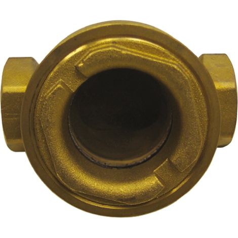 Clapet antiretour en Laiton RS PRO BSP 1/2" ( Prix pour 1 )