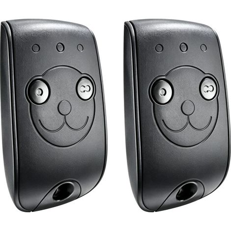 Lot de 2 Télécommandes Keytis RTS 2 Canaux Compatibles Somfy 1841026 - Programmation Facile - Idéal Portail/Garage (1/4)