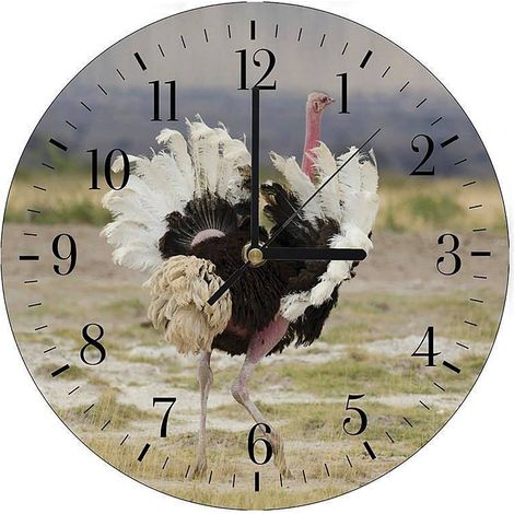Horloge Murale Panoramique Autruche Sauvage Nature - 40 x 40 cm