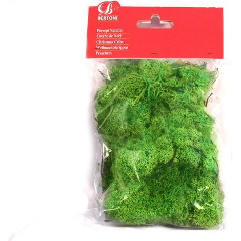 LICHENE VERDE GR. 100 PER PRESEPI O MODELLISMO