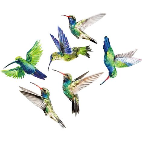 Autocollant de Fenêtre Oiseau-mouche Anti-collision en Pvc Coloré pour Décoration Naturelle et Protection des Oiseaux en Magasin ou Salon (1/5)