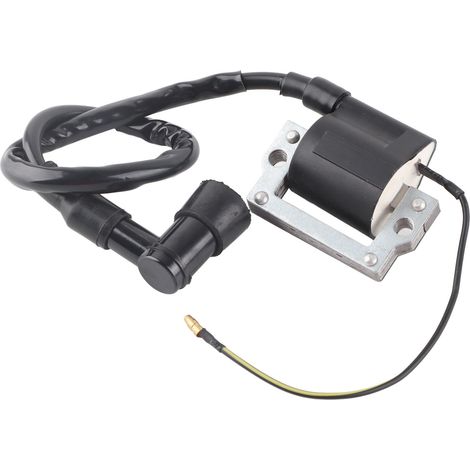 Module de bobine d'allumage haute performance adapté aux moteurs Yamaha G1 2 temps (1/5)