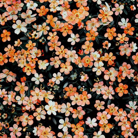 Dekorativer Outdoor-Stoff Oxford - Motiv Blumen I DX5205 (1/5)