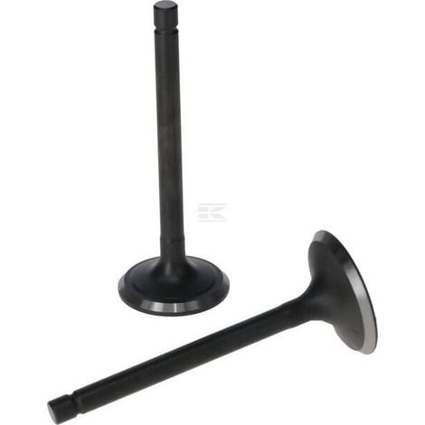 Kit de soupape 5005500300001
