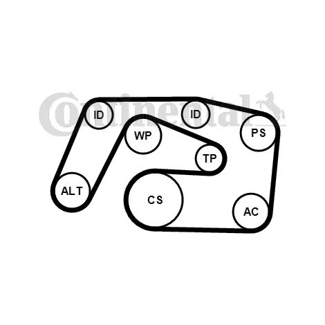 Jeu de courroies trapézoïdales à nervures Continental 6PK2271K1 MERCEDES-BENZ