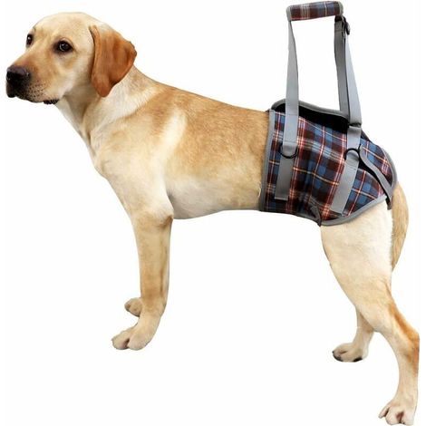 Harnais de Soutien pour Chien pour Les Jambes Avant et arrière Levage Gilet de réadaptation réglable Maille Portable rembourré sans avec poignée (bleu)L