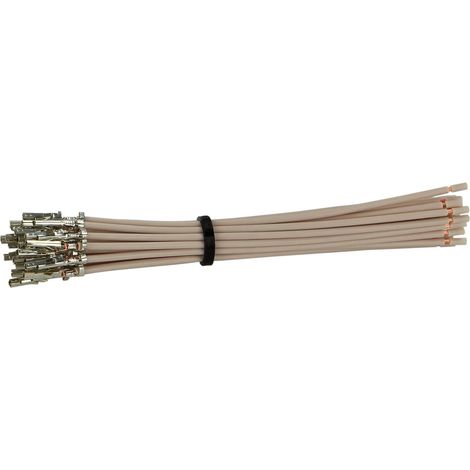 Terminal de connexion Molex Mini Fit -f- avec cable de 10 cm blanc