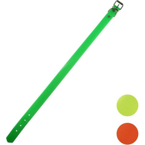 Collar Biothane Higiénico Duradero 25mm x 60cm Verde