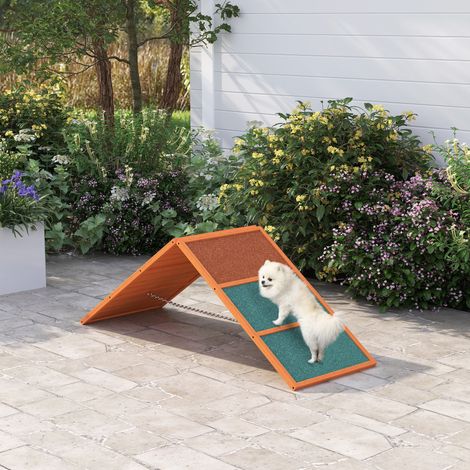 Rampe Agility Dog, 173 x 59 x 66 cm, pliable, hauteur réglable, antidérapante, bois de sapin, jusqu’à 40 kg, orange/vert (1/4)