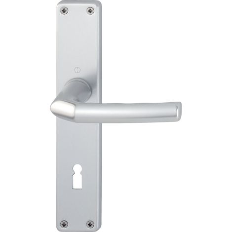 Jeu de garniture de porte longue Birm.1117/202SP Alu.F1 OB 72mm DIN L/D (1/4)