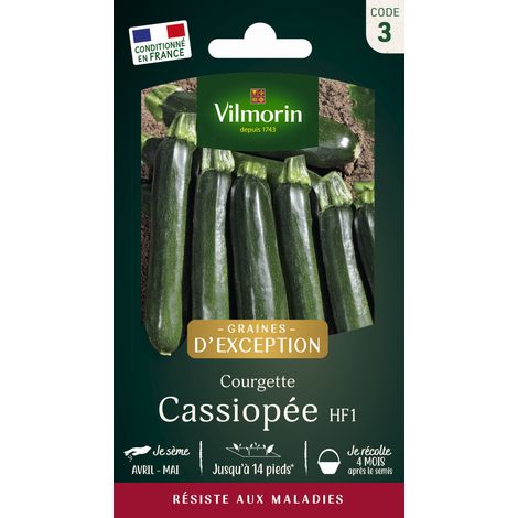 Courgette Cassiopée HF1 - Graines d'Exception Vilmorin (1/2)